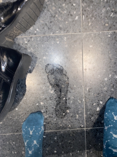     Ezüst Szarvas – Titkos Vágyakra Hangolva