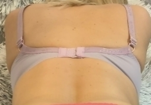 Orgona cickó tartó