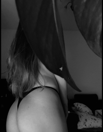 Aniii